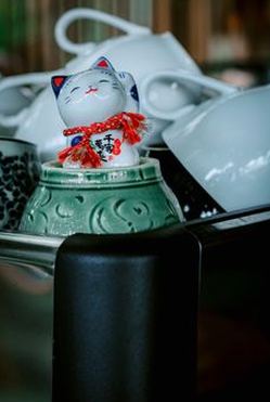 chia sẻ Kubet